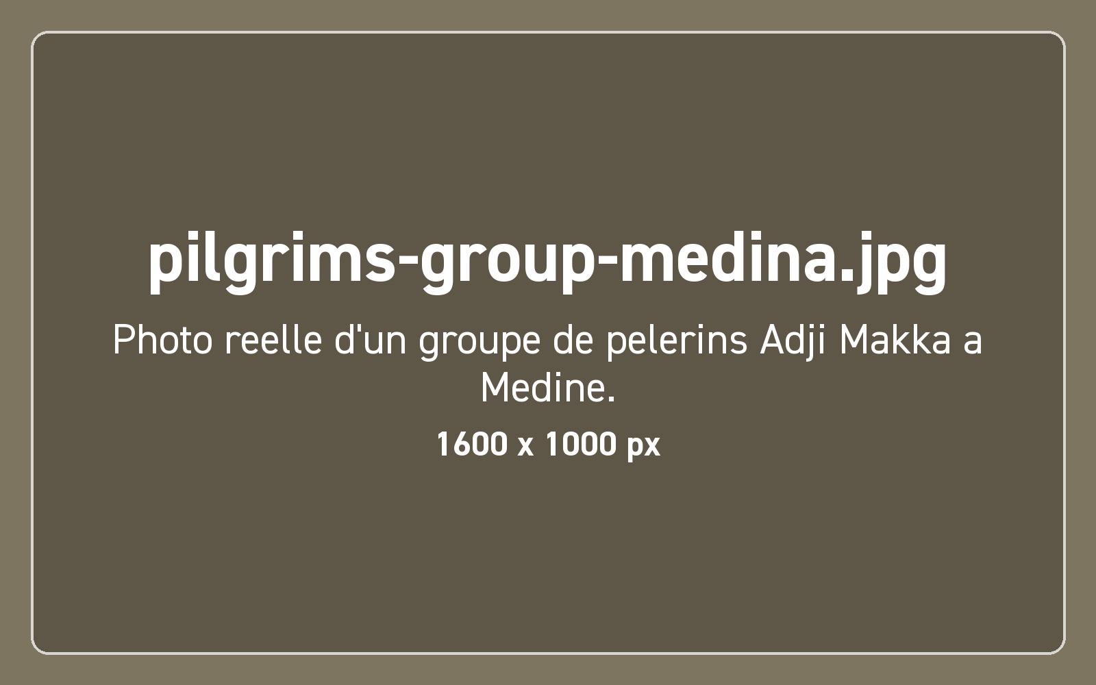 Groupe de pèlerins à Médine (photo d'illustration)